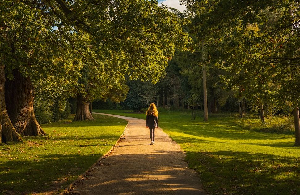 Person walking along a tree-lined park path in Clarksville TN on a sunny fall day.