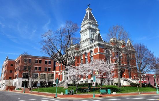 Woman hand is playing acoustic guitar in the garden